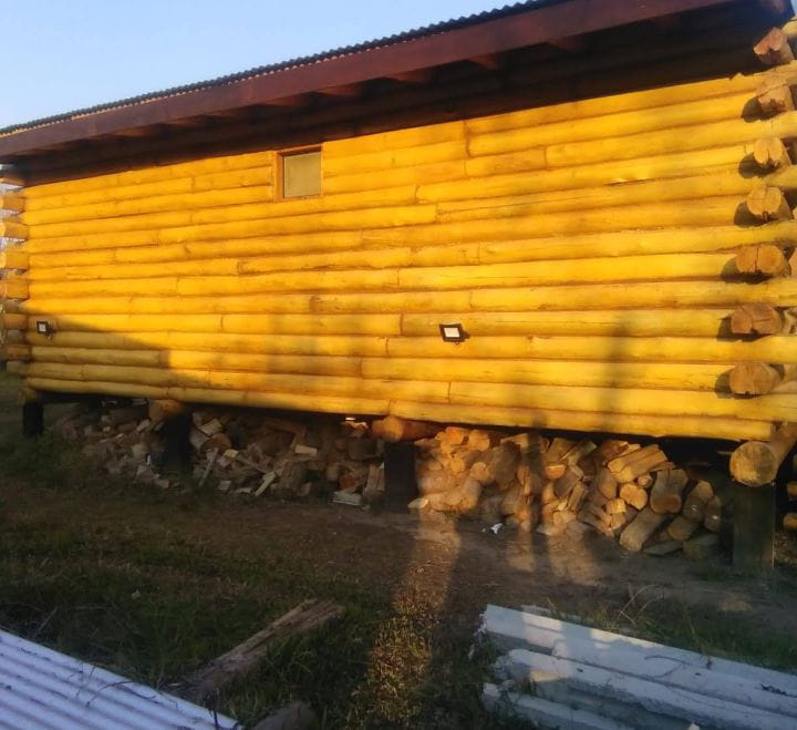 Vista lateral de cabaña de tronco con troncos dorados